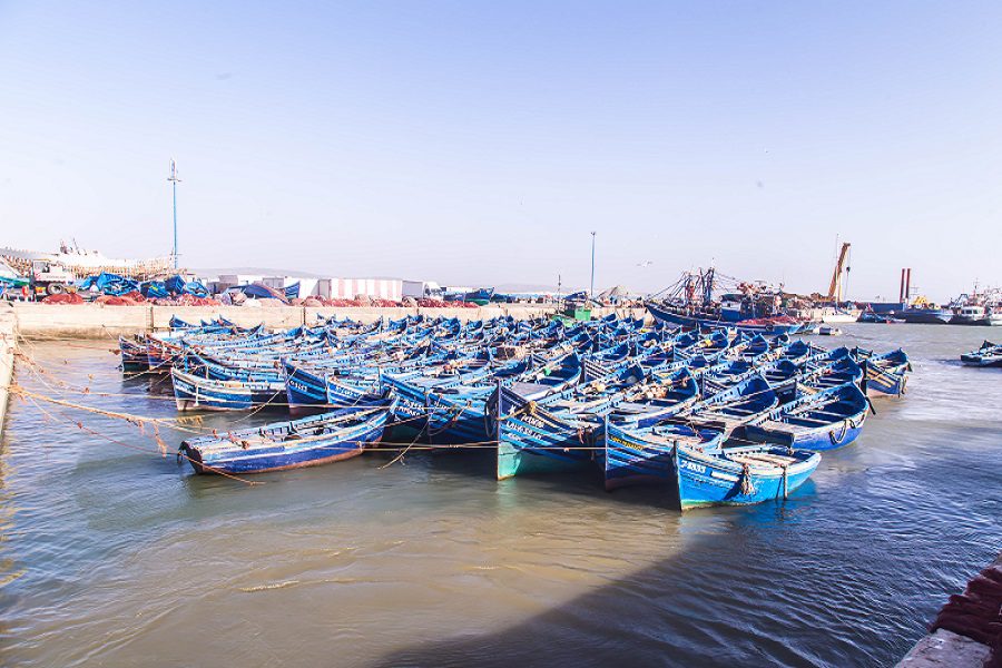 Excursion d'une journée à Essaouira
