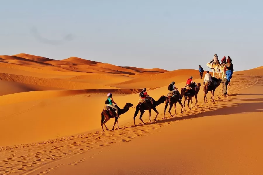 5 Jours de Fès vers le désert et Marrakech