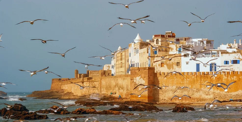 Excursion d'une journée à Essaouira